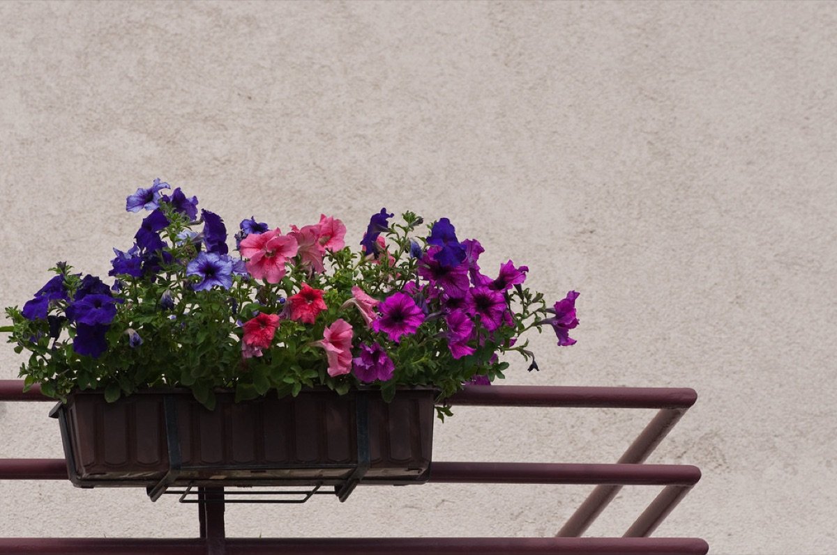 Balcony Flower Garden Kit