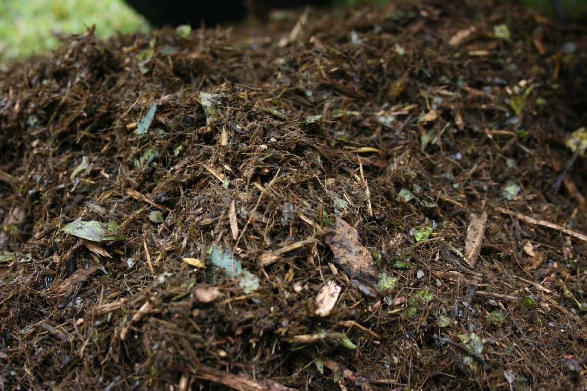Premium Vermicompost — 5 kg